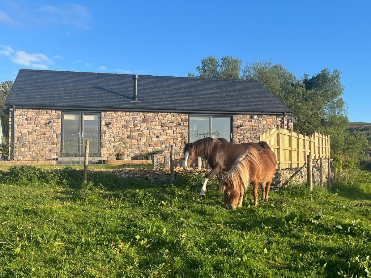 Llanllyfni Hedd Wen 빌라 외부 사진