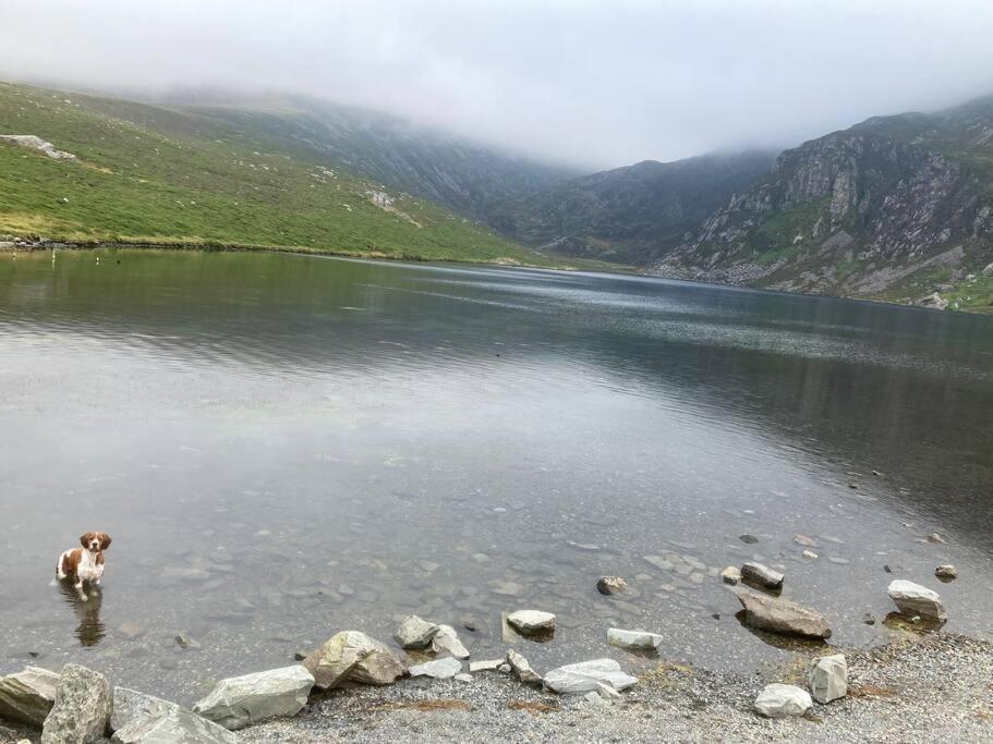 Llanllyfni Hedd Wen 빌라 외부 사진